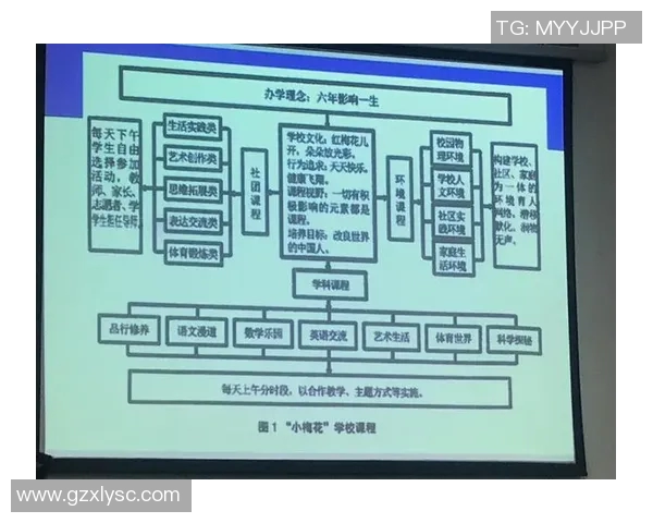 西安排球队比赛经验分析与表现评估的深度研究